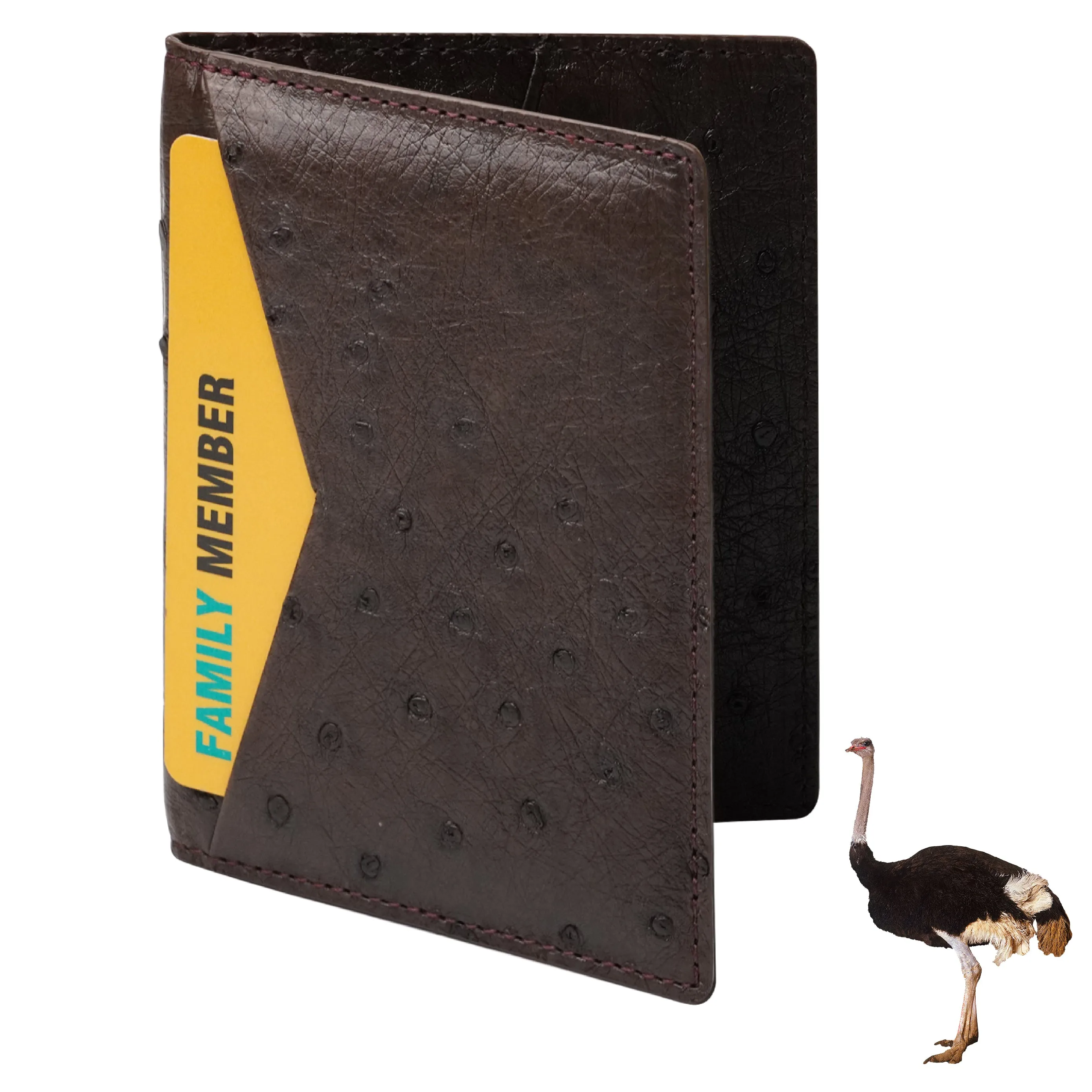 Brown Double Side Ostrich Leather Credit Card Holder | RFID Blocking | CARDOS-03