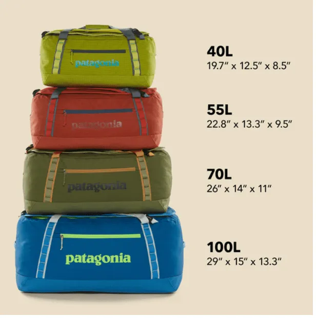 Patagonia Black Hole® Duffel 40L